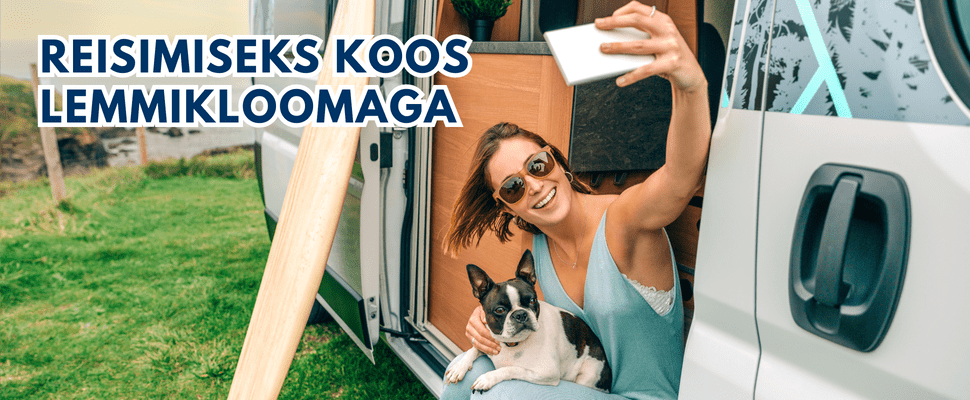 Campervan Mattress