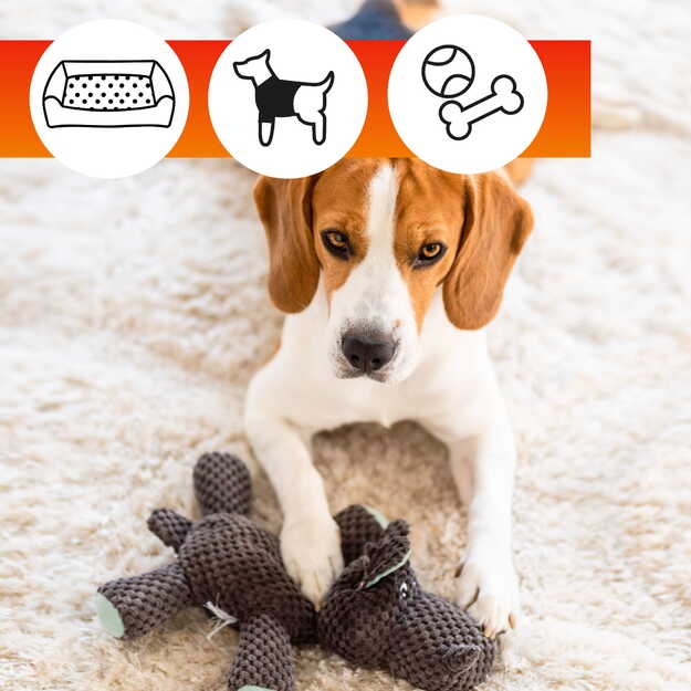 Skalbiklis/valiklis naminių gyvūnų guoliams, drabužiams ir žaislams OA PETS FABRIC CLEANER 2in1 (500 ml) 5