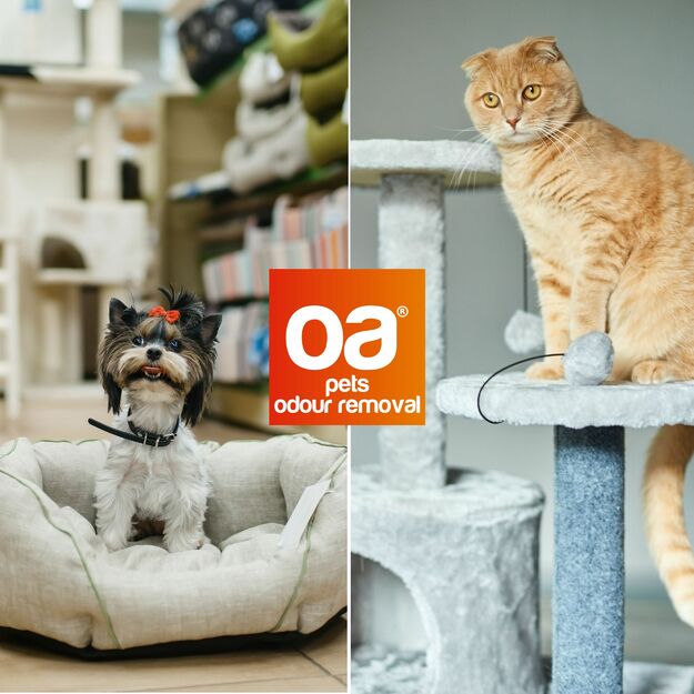 Kvapų šalinimo priemonė naminių gyvūnų guoliams ir tekstilei OA PETS ODOUR REMOVAL (250 ml) 2
