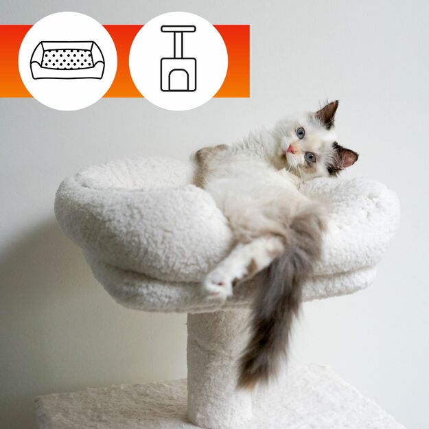 Kvapų šalinimo priemonė naminių gyvūnų guoliams ir tekstilei OA PETS ODOUR REMOVAL (250 ml) 4